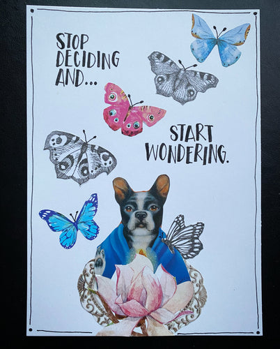 November Nourishment Twenty - Eight