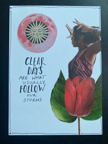 November Nourishment Fourteen