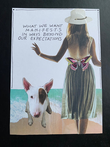 November Nourishment Fifteen