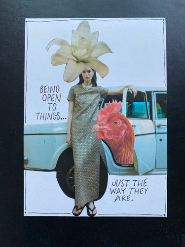 November Nourishment Sixteen